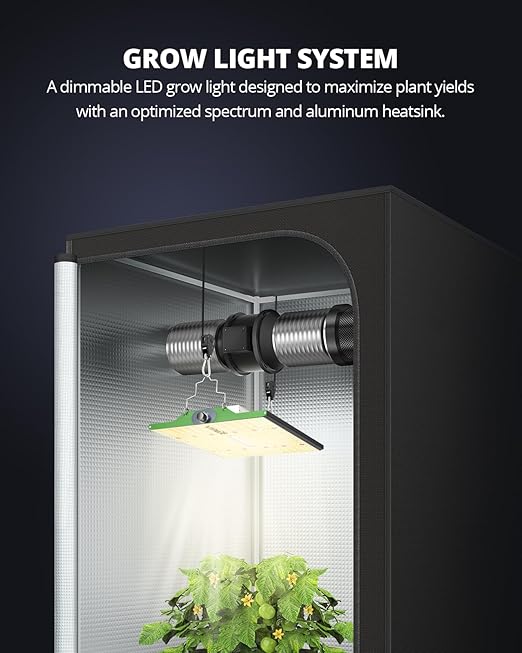 Lampara VIPARSPECTRA P1000wtts