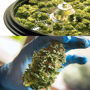 Trimadora / Trimmer manual 40cm